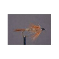 Gold Ribbed Hares Ear