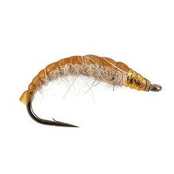 Golden Czech Nymph Superb