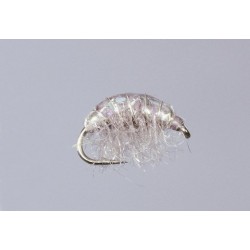 Gray Hunchback Sparkle Scud