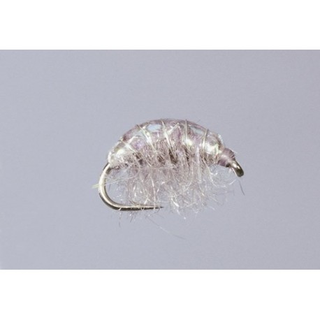 Gray Hunchback Sparkle Scud