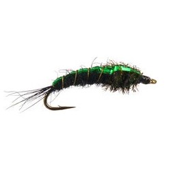 Green Back Peacock Nymph