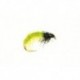 Grub Glister Green