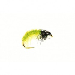 Grub Glister Green