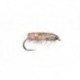 Gut Sack Sow Bug Gray