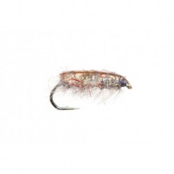 Gut Sack Sow Bug Gray