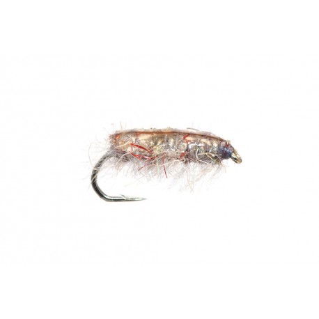 Gut Sack Sow Bug Gray