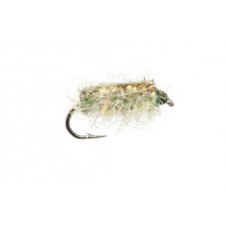 Gut Sack Sow Bug Olive