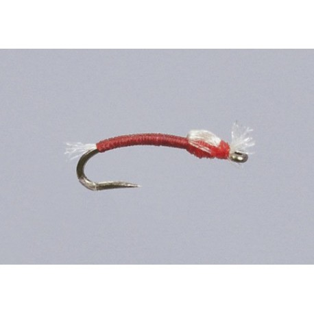 Haslams Blood Midge Pupa