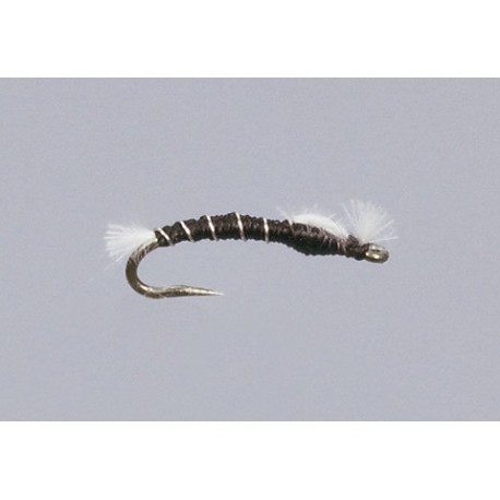 Haslams Zebra Midge Pupa