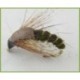 Hatching Sedge Brown