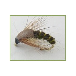 Hatching Sedge Brown