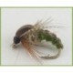 Hatching Sedge Olive