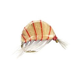 Heavy Epoxy Shrimp Natural