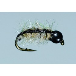 Hindmarshs River Sow TNG