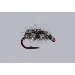 Hindmarshs Rocky Mountain Sow