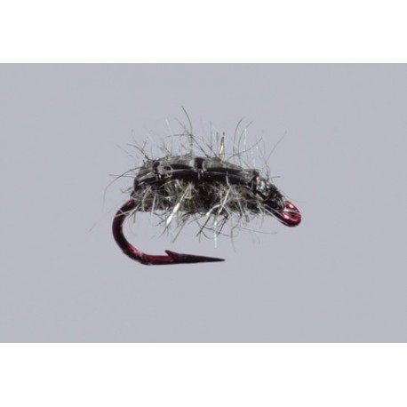 Hindmarshs Rocky Mountain Sow