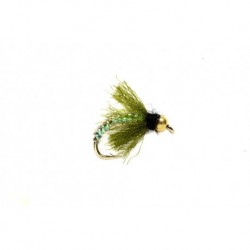 Iko Caddis Green