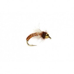 Iko Caddis Tan