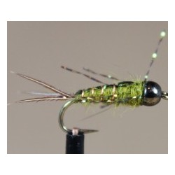 Beadhead Anato May Nymph (Olive)