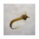 Kazulens Caddis