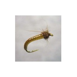 Kazulens Caddis