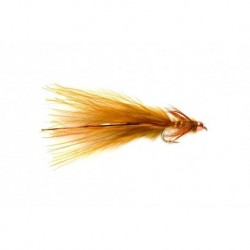 Kingfisher Copper Damsel