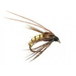 Le ninfe non appesantite affondano a