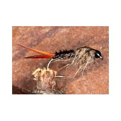 MahogonyMayflyNymph
