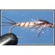 Mayfly Micro