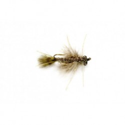 Mayfly Nymph