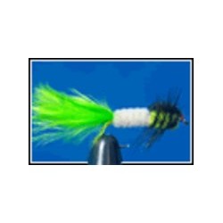 Montana Cats Whisker