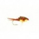 Nugget Stonefly Gold