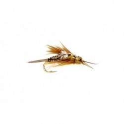 OE Stonefly Nymph Golden