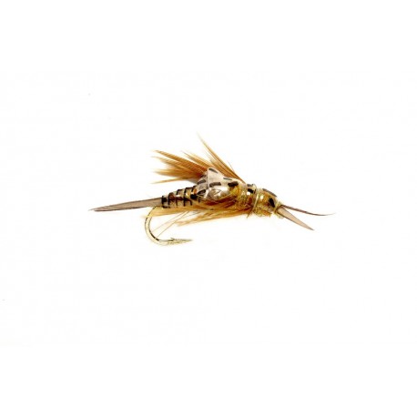 OE Stonefly Nymph Golden