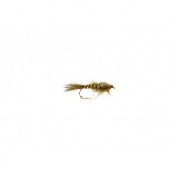 Olive Hares Ear Nymph