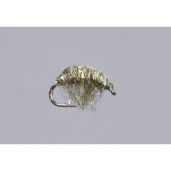 Olive Hunchback Sparkle Scud