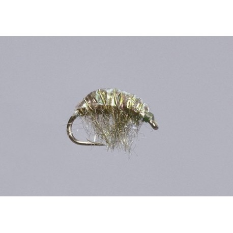 Olive Hunchback Sparkle Scud