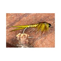 OliveMayflyNymph