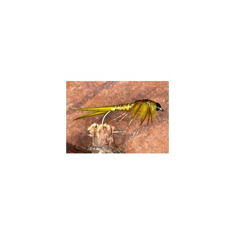 OliveMayflyNymph