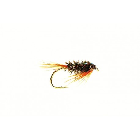 Orange Flash Diawl Bach