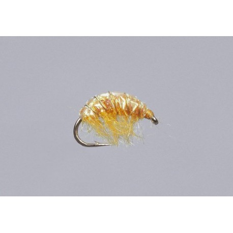 Orange Hunchback Sparkle Scud