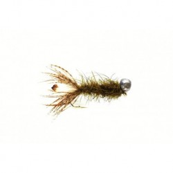Peeping Caddis Olive