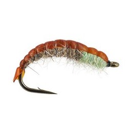 Peters Favourite Czech Nymph