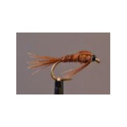 Pheasant Tail Nymph