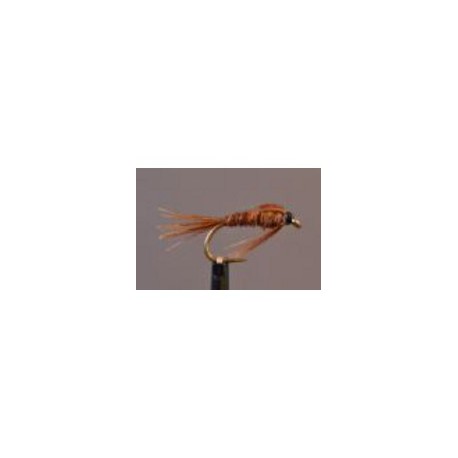 Pheasant Tail Nymph