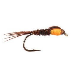 Pheasant Tail Orange Nymph