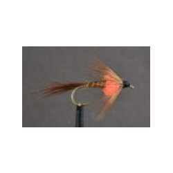 pheasant tail orange