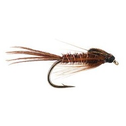 Pheasant Tail
