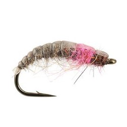 Pink Catching Czech Nymph