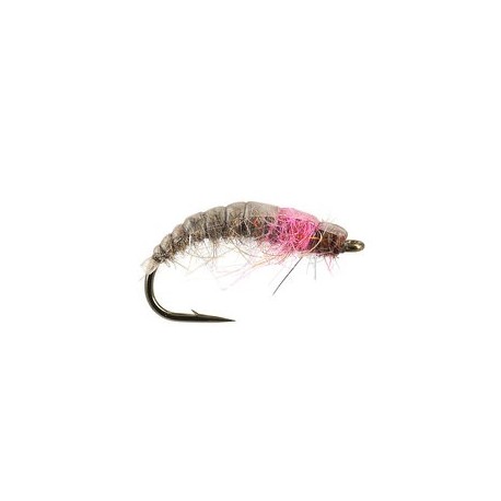 Pink Catching Czech Nymph